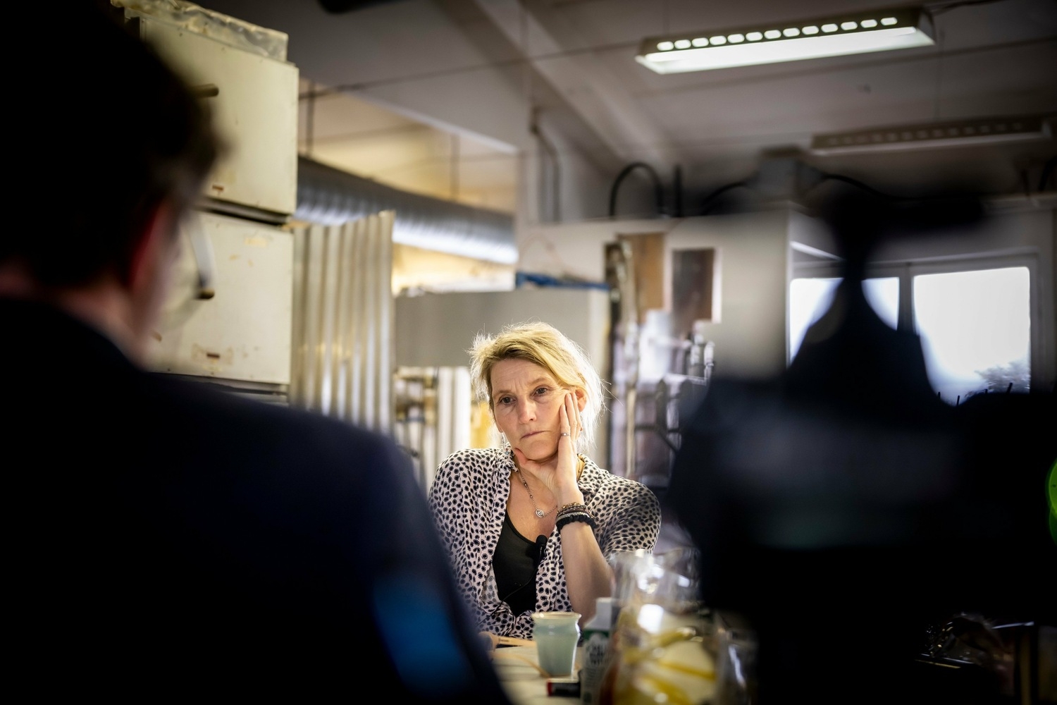 Down the Bitcoin Funnel: The Tech Firms Driving Investors to Ruin with Fake  Celebrity News | OCCRP