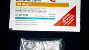 US Busts Two Major Drug Rings with Ties to Mexico
