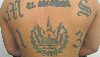 US Busts Dozens of MS-13 Gang Suspects 	