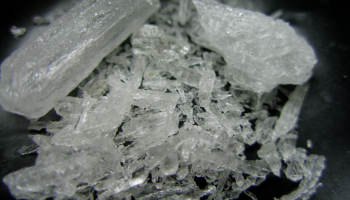 Czech Republic: Police Release Details Of Drug Bust