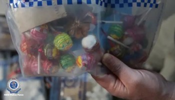 Unorganized Crime: Painted Rocks and the Anti-Mafia Grandma