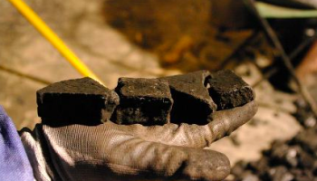Lithuania: Police Seize 600 Kilos of ‘Cocaine Disguised as Coal’