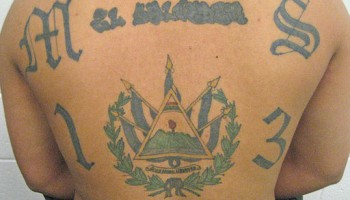 США: члены банды MS-13 осуждены за рэкет