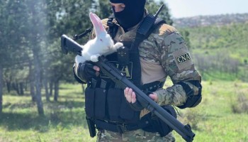 «На Пасху и мы можем быть белыми и пушистыми». Центр по борьбе с коррупцией Молдовы опубликовал фотосессию с кроликами к Пасхе
