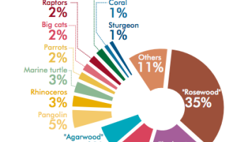 Virtually All Countries Play A Role in Illicit Wildlife Trafficking, According to Report