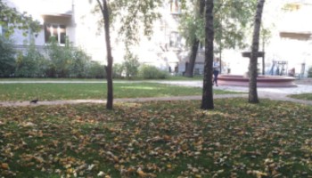 «Медуза»: Москва потратила 850 млн рублей на вывоз опавших листьев. Закон запрещает их собирать