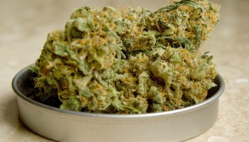 Bosnia: Police Seize 300 kilograms of Cannabis