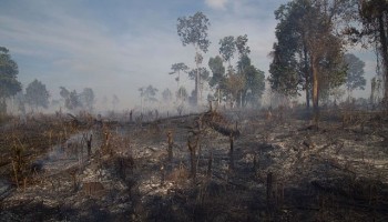 Cambodian PM Vows to Shoot Loggers From Helicopters, Again