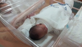 Ukrainian Police in Baby-Mill Bust