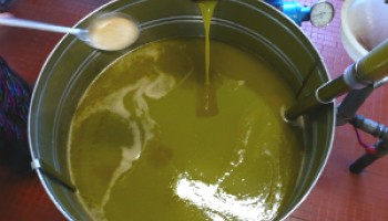 Made in Italy: Investigators Spotlight 'Agromafia' in Major Counterfeit Food Seizures