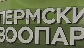 Строительство пермского зоопарка, в ходе которого похитили 1,8 млрд рублей, приостановили