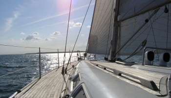 European Companies Importing Illicit Wood for Superyachts