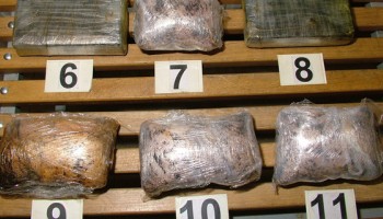 Serbia: Football Fan Club Leader Among 30 Arrested in Drug Bust