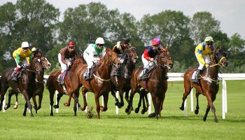 US: 27 Charged in Massive Horse Doping Bust