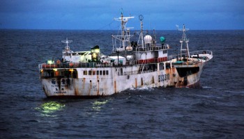 Environmental Destruction Thrives on Tax Havens, says Paper