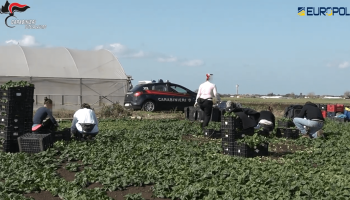 Europe Cracks Down on Modern Slavery and Labor Exploitation