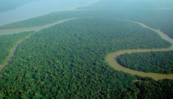 NGO: US Meat Markets Encourage Illegal Deforestation in the Amazon