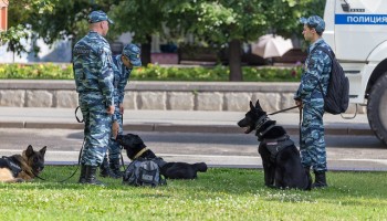 Hundreds Arrested in Moscow Golunov March After Release