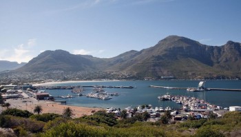 New Report: Illegal Poaching Decimates South African Sea Snails
