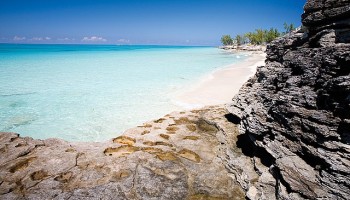 The Bahamas: 24 Arrested in Drug, Arms Trafficking Raid