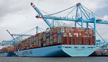 Report: Wildlife Traffickers Exploit the Maritime Shipping Industry
