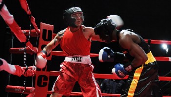 Boxing President Too Busy to Work Due to Legal Problems
