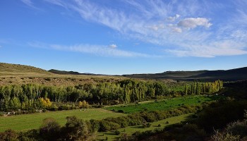 South Africa: Corruption Alleged in Land Reform Scheme