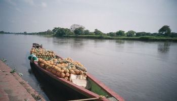 US Coast Guard Wants to Cut Rising Colombian Drug Trade at its Artery