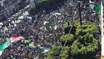 Corruption Costs 500,000 Algerians Their Jobs
