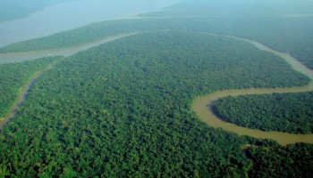 As Environmental Crimes Destroy the Amazon, Brazil Fails to Act