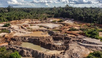 Report: Attacks Against Indigenous Triples Under Jair Bolsonaro