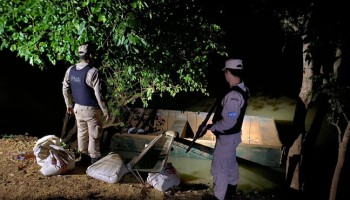 Argentina Seizes Over 17 Tonnes of Soybeans That Were to be Smuggled to Brazil