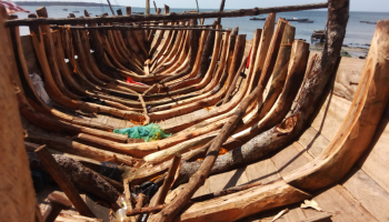 Report: Mozambique Violence Funded by Illicit Trade