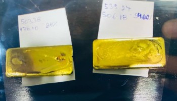 Brazil Targets Illegal Gold Mines in the Amazon