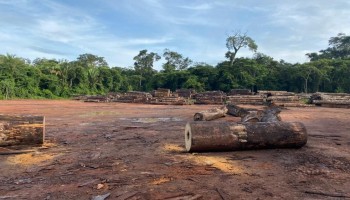 Brazilian to Serve 70 Years for Extortion; Could get 30 More for Deforestation