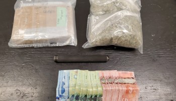 3 Pounds of Cocaine, Cannabis Seized at Canada-US Border