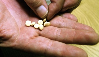 Iraq Seizes 1 Tonne of Captagon from Syria
