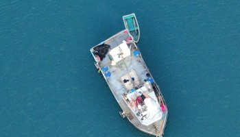 Chilean Navy Busts Salmon Thieves Gang