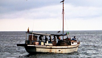 Ecuador Worried About Chinese Fishing Fleet Near Galapagos