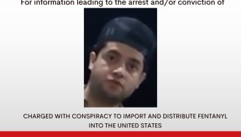 Mexico Extradites Alleged Sinaloa Sicario to U.S.