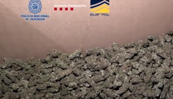 Spanish Police Dismantle Albanian-Run Cannabis Operation
