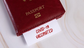 Spain Dismantles Fake Covid-19 Passport Ring