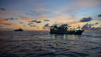 Organized Crime Threatens Global Ocean Sustainability