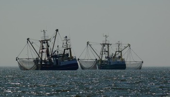 Report: China’s ‘Dark Fleet’ is a Menace to Coastal Nations Worldwide