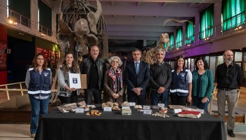 Argentina: Thousands of Fossils Recovered after Being Smuggled to Spain
