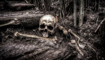 Cameroon Determined to End Human Bone Trafficking