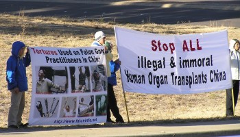 Report: Organ Transplant Tourism Rising Globally; China No1 Offender