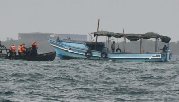 Interpol: Illicit Fishing Trade Fuels Transnational Organized Crime