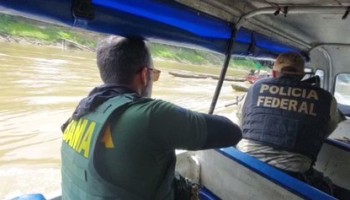 Brazil Goes After Poachers and Illegal Traders of Protected Amazon Fish
