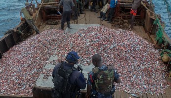 EU Blacklists Cameroon Over Illegal Fishing